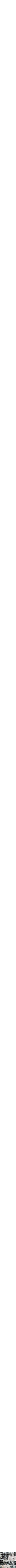 Assorti