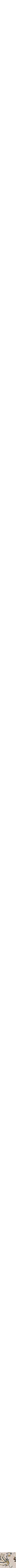 Assorti