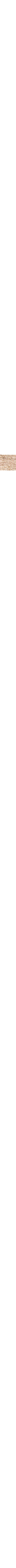 Brun à motifs