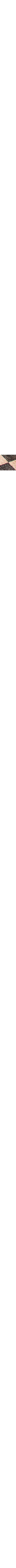 Brun à motifs
