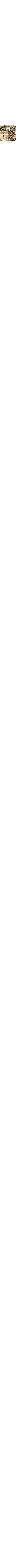 Vert à motifs