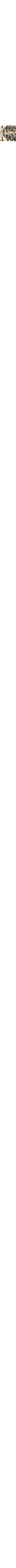 Vert à motifs