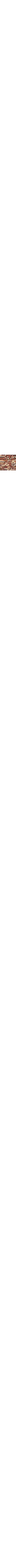 Brun à motifs