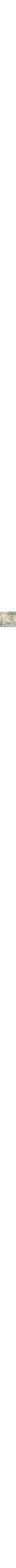 Vert à motifs