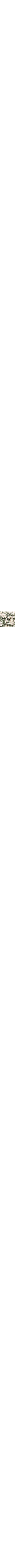 Vert à motifs