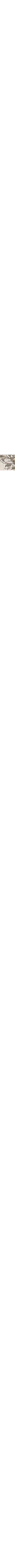 Crème à motifs