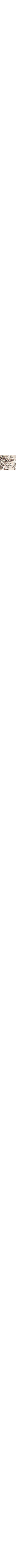 Crème à motifs