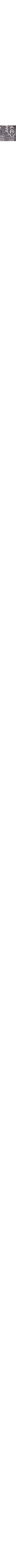 Gris à motifs