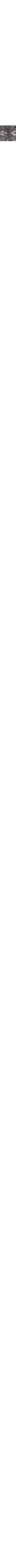 Ardoise