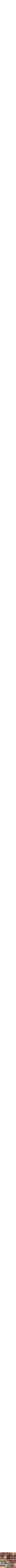 Brun à motifs