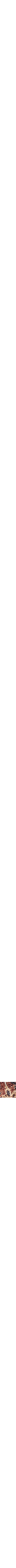 Crème à motifs