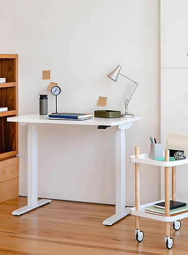 Branch Woodgrain & White Duo standing desk
