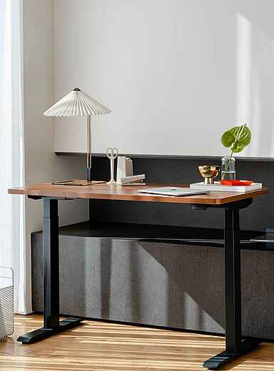 Branch Woodgrain & White Duo standing desk