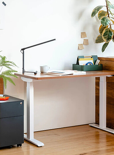 Branch Woodgrain & White Duo standing desk