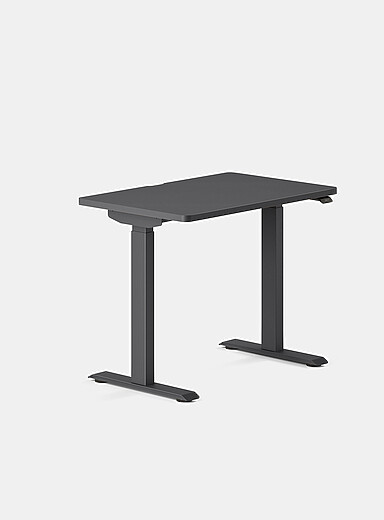 Branch Woodgrain & White Duo standing desk