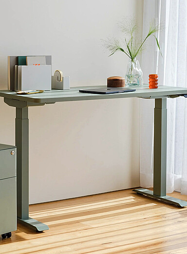 Branch Woodgrain & White Duo standing desk