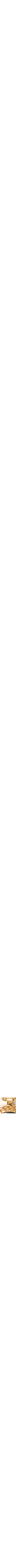 Jaune doré