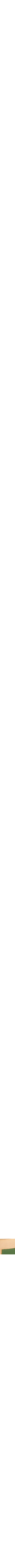 Jaune à motifs