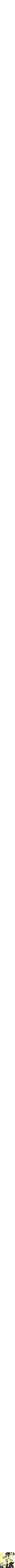 Assorti