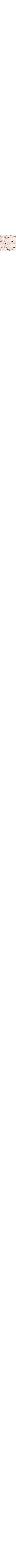 Patterned Ecru