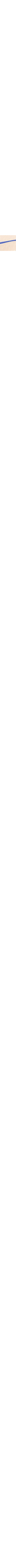 Patterned Ecru