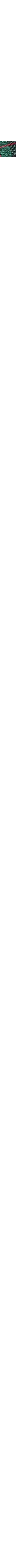 Vert à motifs
