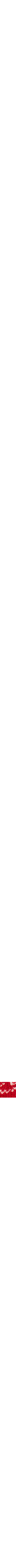 Rouge à motifs
