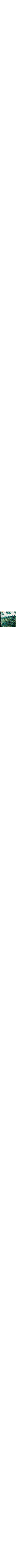 Vert à motifs