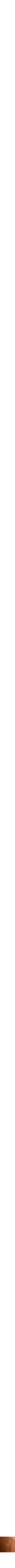 Assorti
