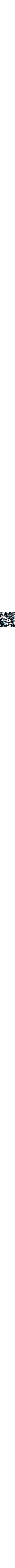 Bleu à motifs