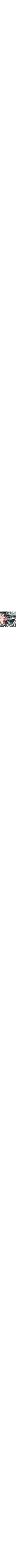 Bleu à motifs