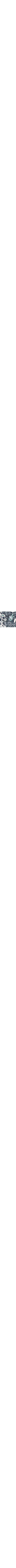 Bleu à motifs