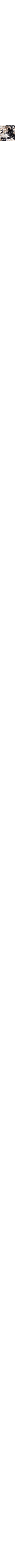 Gris à motifs