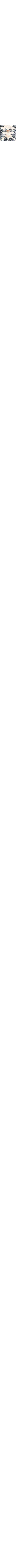 Gris à motifs