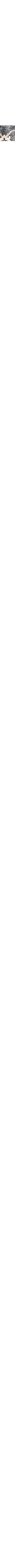 Gris à motifs