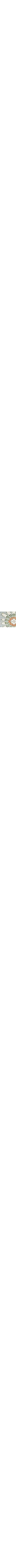 Vert à motifs