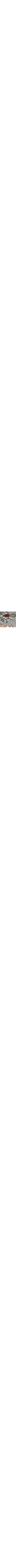 Vert à motifs