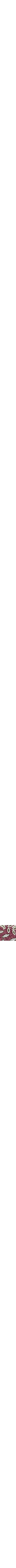 Pourpre à motifs