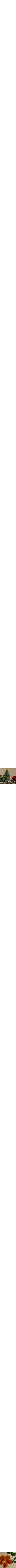 Assorti