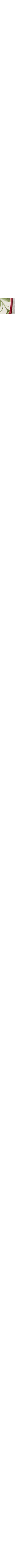 Blanc à motifs