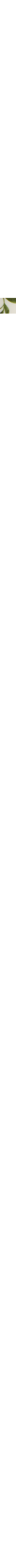Blanc à motifs