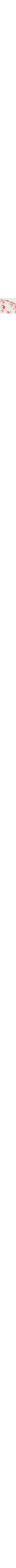 Blanc à motifs