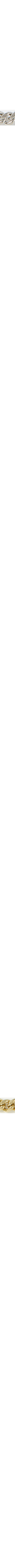 Jaune doré