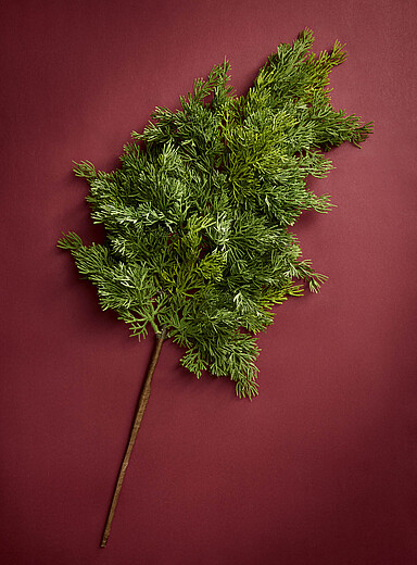 La branche imitation feuilles de c&egrave;dre <b>Collection de No&euml;l</b>