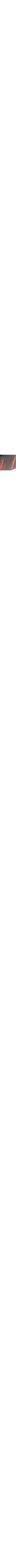Brun à motifs