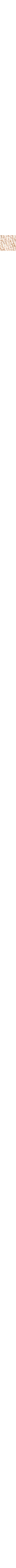 Écru à motifs