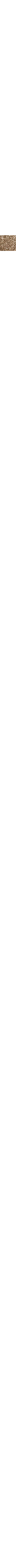 Écru à motifs