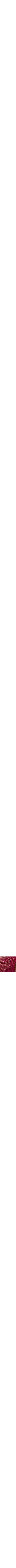 Framboise