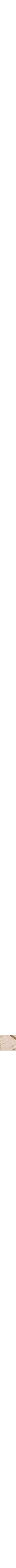 Vieux rose