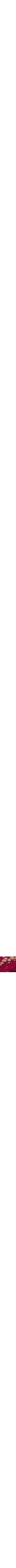 Framboise